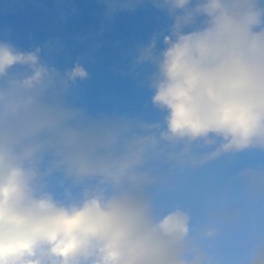 One Way Trip to Heaven