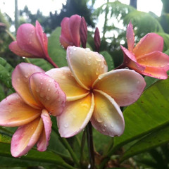 JM yai by junior ft Niel reguest by Evy