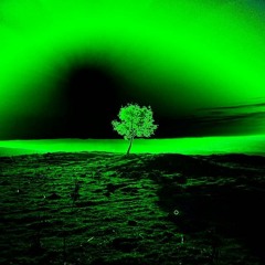 🌳