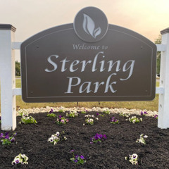 Shenanigans at Sterling Park