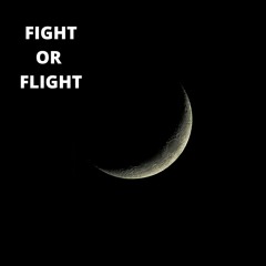 Fight Or Flight(ONEST)