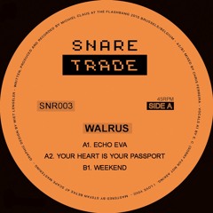 Premiere: Walrus - Your Heart Is Your Passport [Snaretrade003]