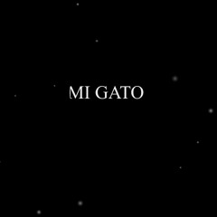 Mi gato