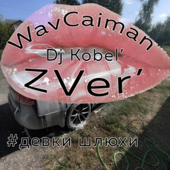 WavCaiman Dj Kobel' ZVer' - #шлюшье дело #О434КХ48rus