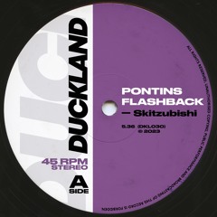 Skitzubishi - Pontins Flashback (Free Download)