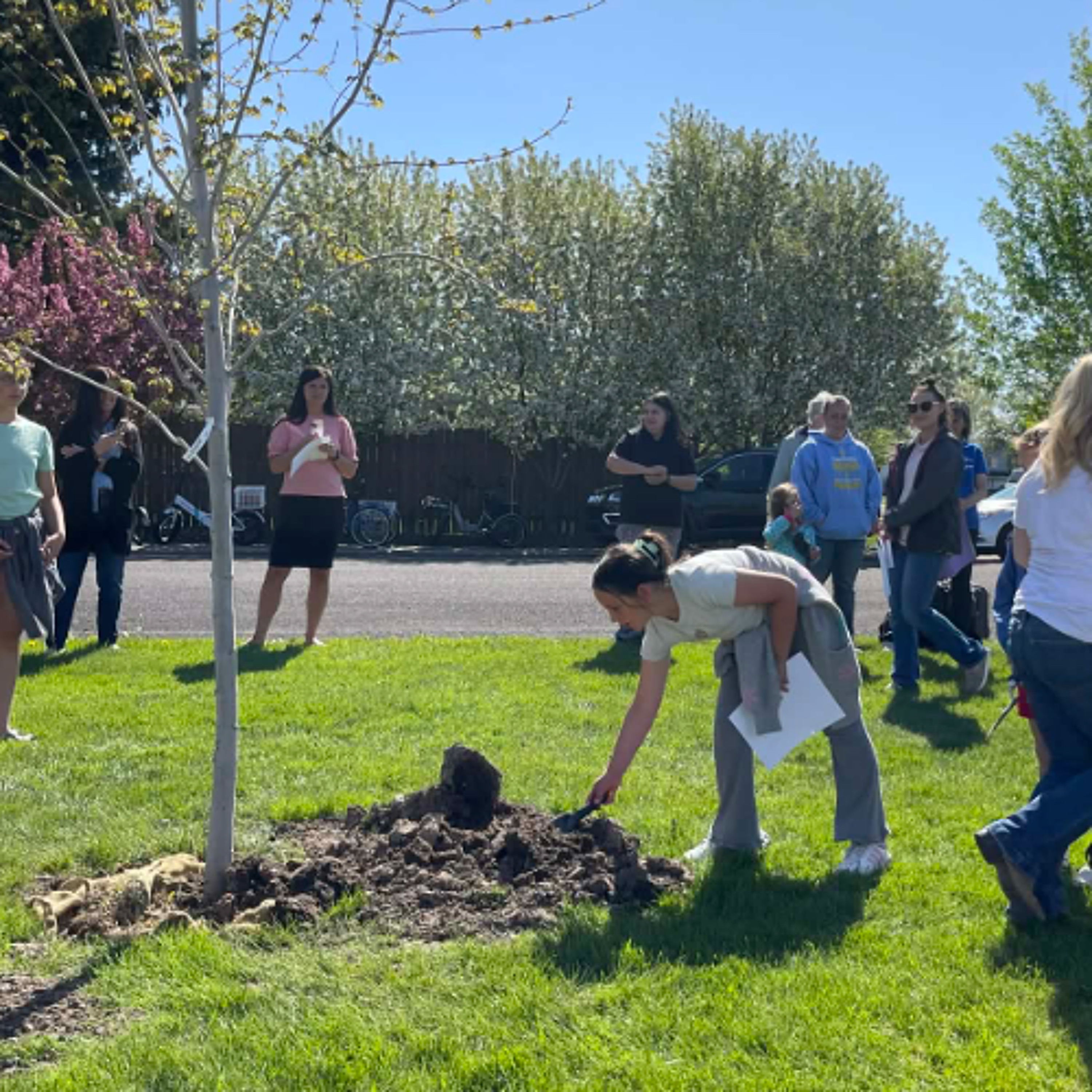 Sugar City to celebrate Arbor Day May 8 episode artwork