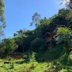 Lil Uzi Vert - Platinum