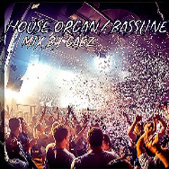 MC GABZ HOUSE ORGAN & BASSLINE MIX.MP4
