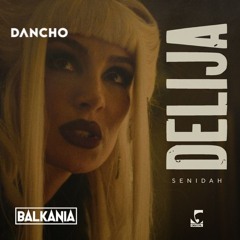 Senidah - Delija (Dancho Mashup)