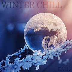Winter Chill @ Nuit 12.30.21 (Trip-Hop, Chillout, Techno, Dubstep, Jungle)