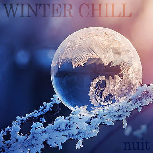 Winter Chill @ Nuit 12.30.21 (Trip-Hop, Chillout, Techno, Dubstep, Jungle)