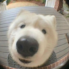 nhạc tình á >_<"