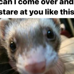 The Mind Electric Demo 4 but you have ADHD