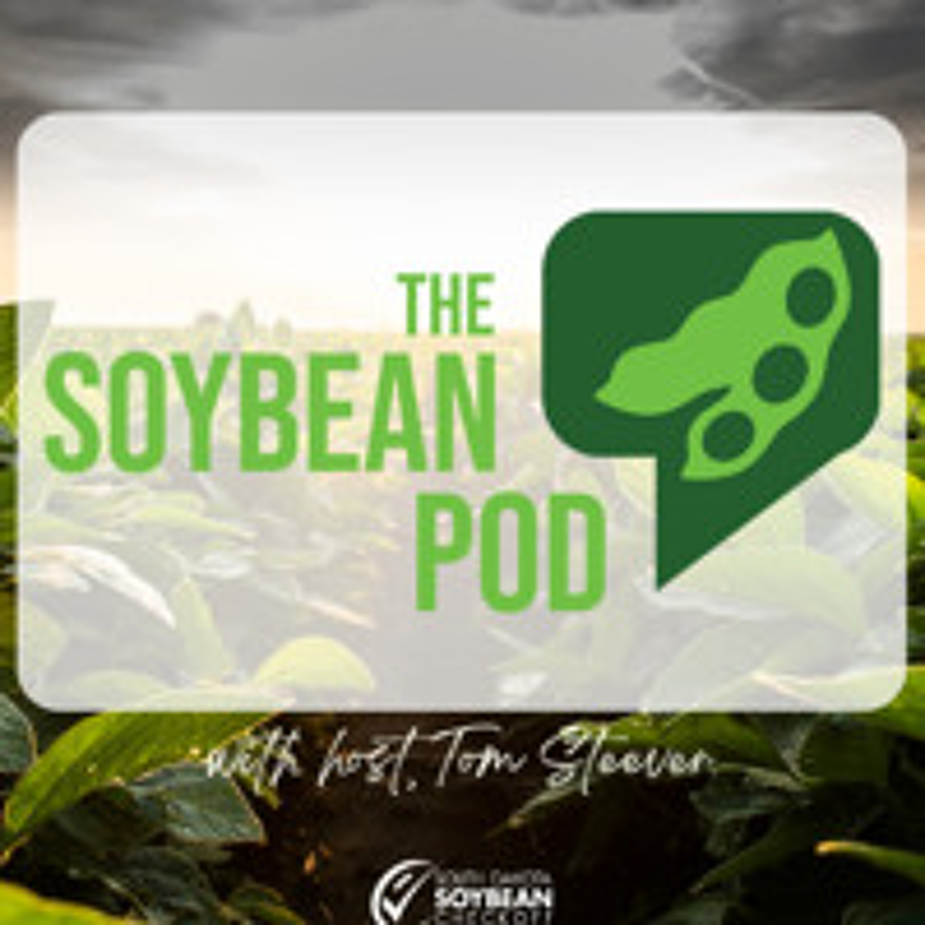 The Soybean Pod