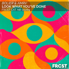 Bolier & AMRV - Look What You've Done