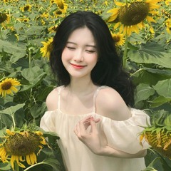 Sao Cũng Được - Dung Hoàng Phạm - TD Mix