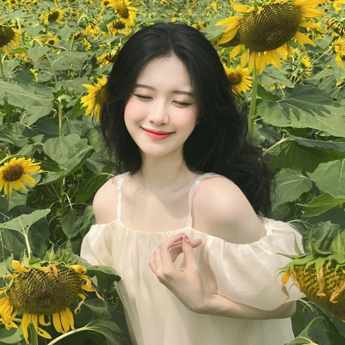 Sao Cũng Được - Dung Hoàng Phạm - TD Mix