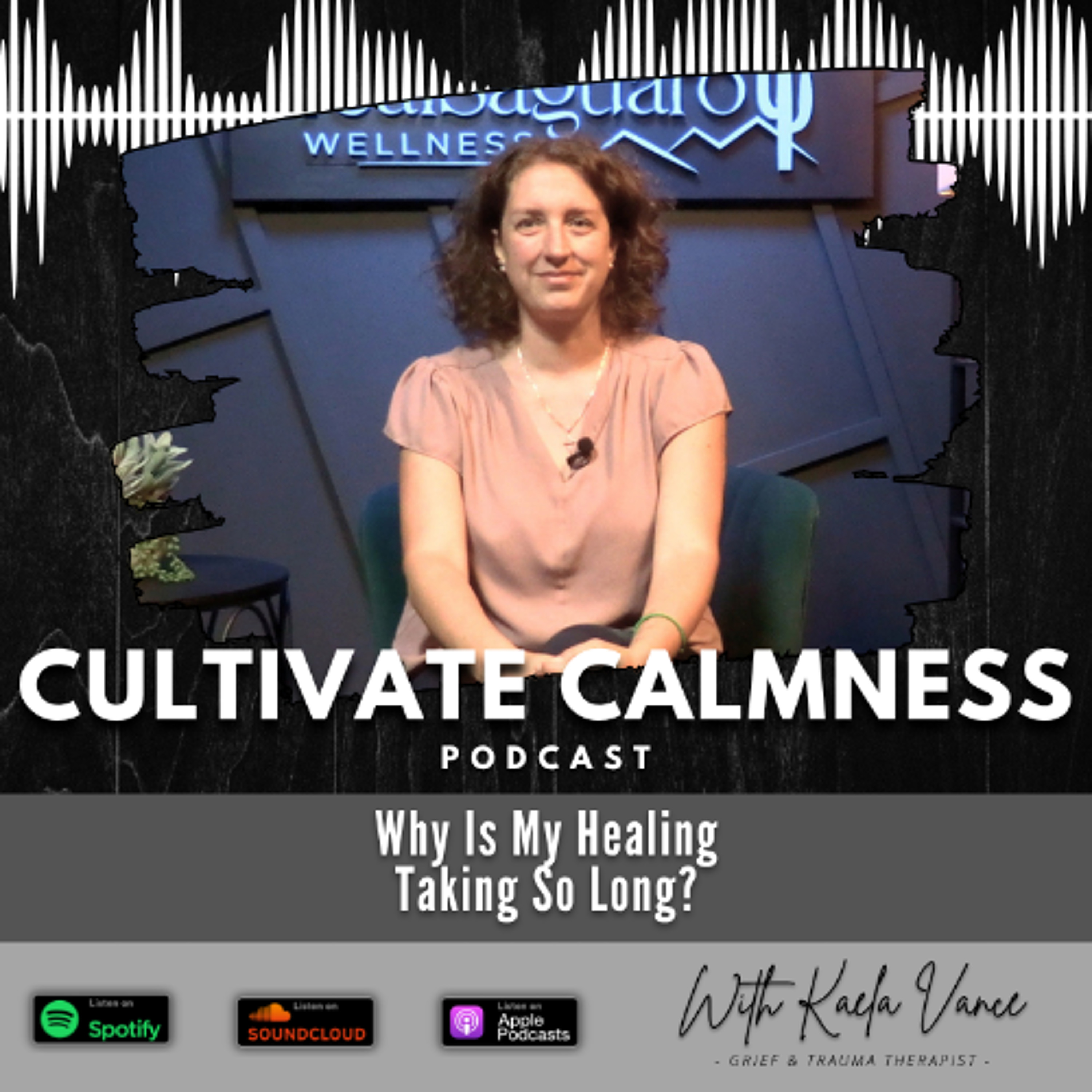 Episode #138 - Why Is My Healing Taking So Long? episode artwork
