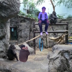 Vietnam Freestyle