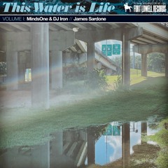 MindsOne & DJ Iron - Phantasy