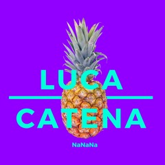 Luca Catena- NaNaNa