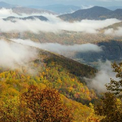 Show 6: Wildcrafting and Foraging Part 1 (made with Spreaker)