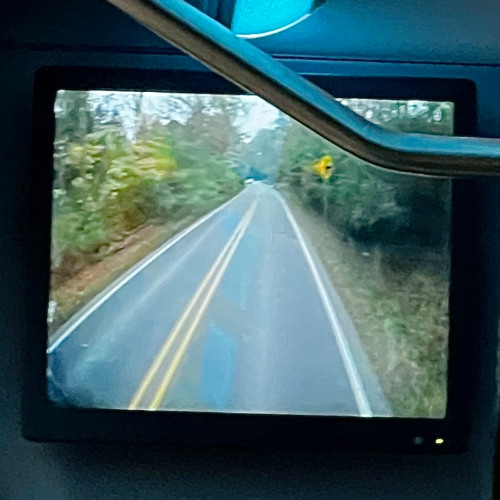 we followed it into the woods