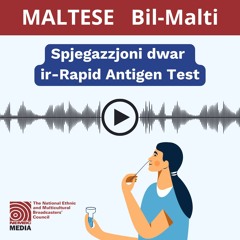 Maltese - Rapid Antigen Test Explainer