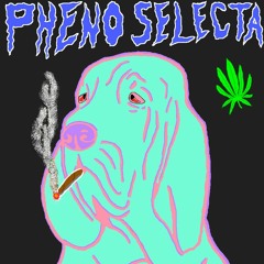 BluntHound - Pheno Selecta Mix
