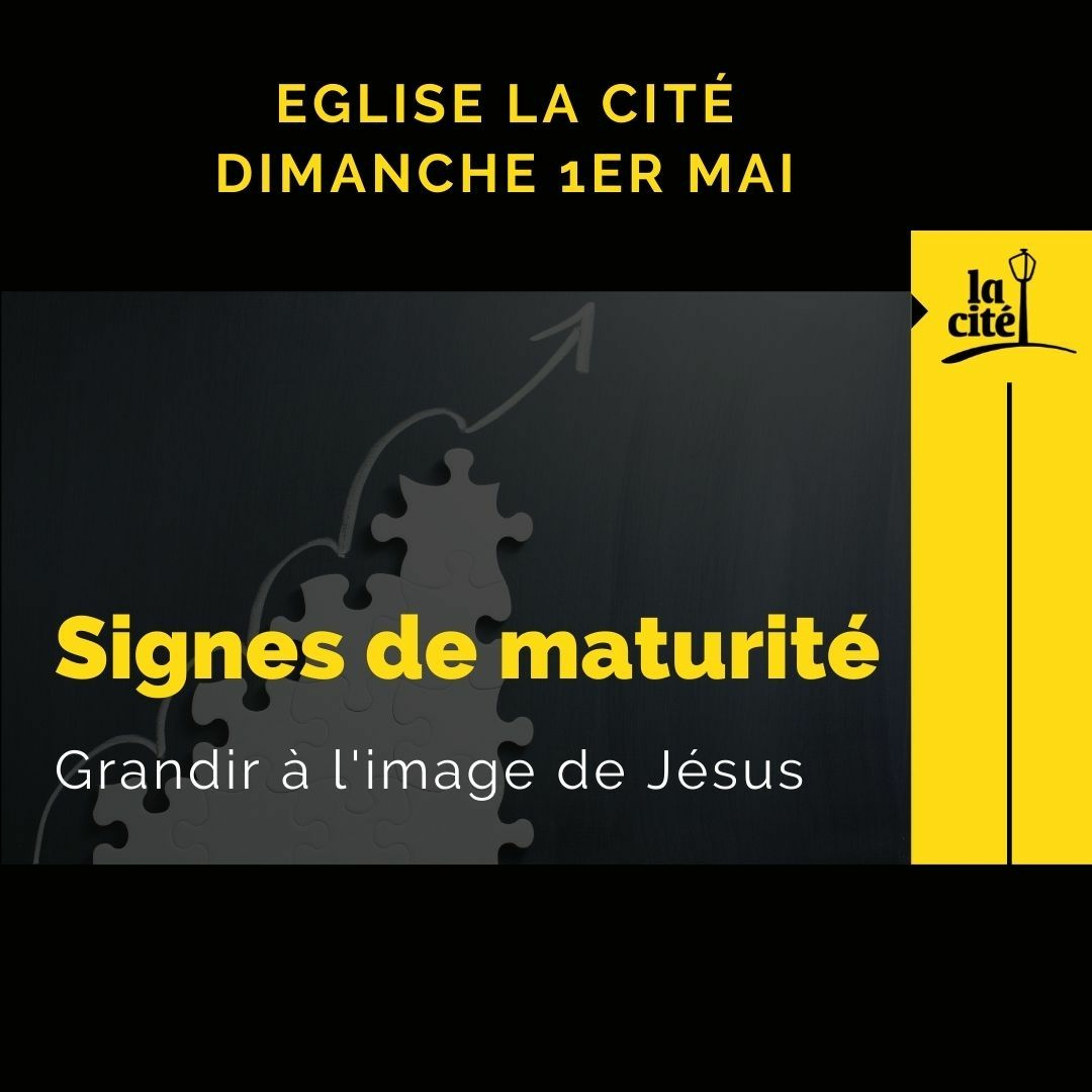 01.05.2022 - Signes De Maturité (Frederic Dalais) episode artwork