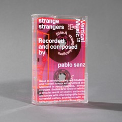 pablo sanz: strange strangers (Excerpt)