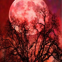 Night Of The Blood Red Moon