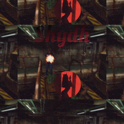 SelfDestruct