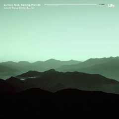 Aericsn & Sammy Plotkin - Could Have Done Better