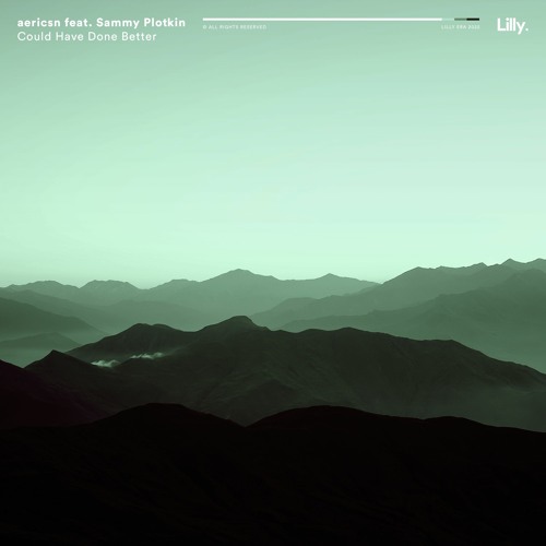 Aericsn & Sammy Plotkin - Could Have Done Better