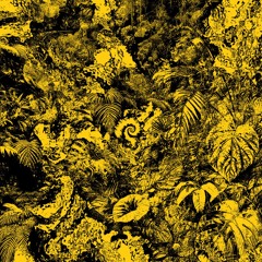 PREMIERE: Secretsundaze - Doesn't This Sun Feel Great.. (Drua Remix)