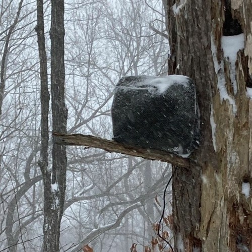 Winter Wind And Snow | Winter Storm Bobby