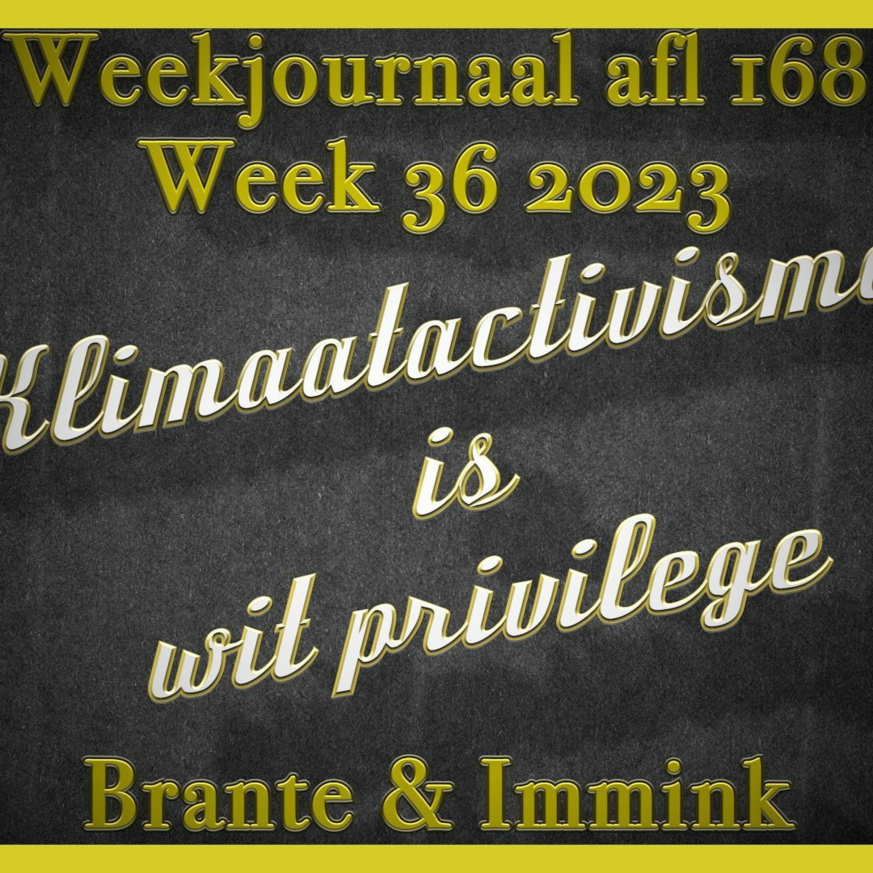 Klimaatactivisme Is Wit Privilege