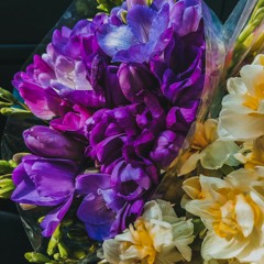 Gandomgun - Mohsen Chavoshi