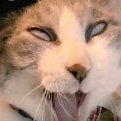 187