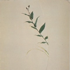 Mixed Signals w/ Beffskee - July 2021