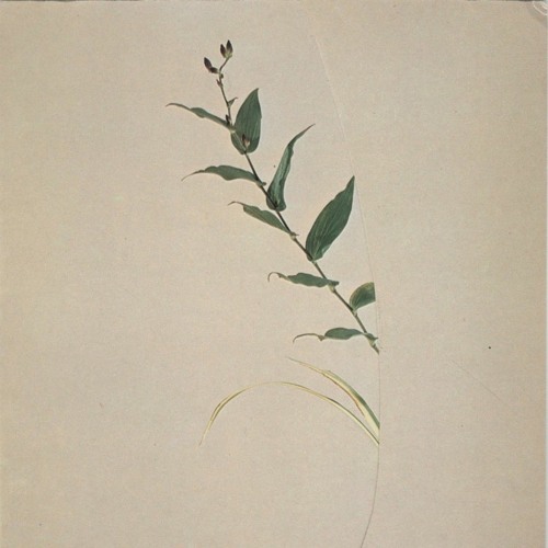 Mixed Signals w/ Beffskee - July 2021