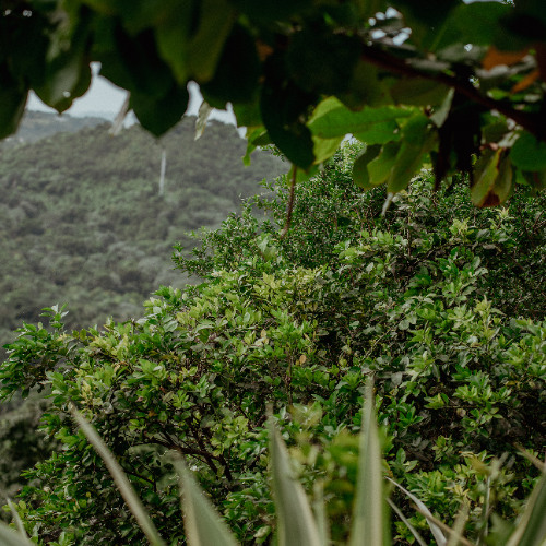 LATAM Connection w/ R3M - 270525