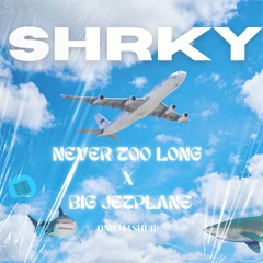 Never Too Long x Big Jet Plane - Metal Work, Angus &Julia vs Whiney & Keeno - SHRKY's DnB Mashup
