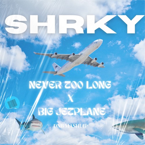 Never Too Long x Big Jet Plane - Metal Work, Angus &Julia vs Whiney & Keeno - SHRKY's DnB Mashup