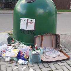 Liūka - rudens alėja