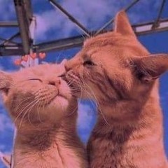 Perfect X Until I Found You