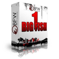 Big Fish Workparts Vol.1 Imaging Demo (CONTACT FOR ME)
