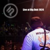 Video herunterladen: LIVE @ Big Dub Music Festival 2024