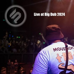 LIVE @ Big Dub Music Festival 2024